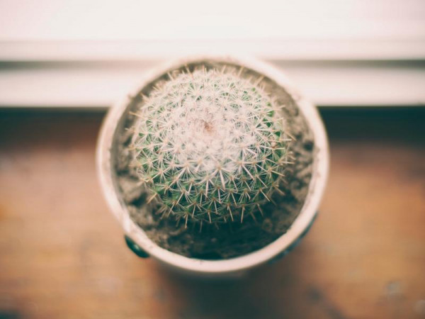 Earum quia quam aliquid ullam voluptatem.