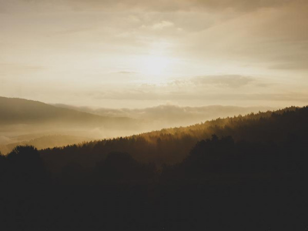 Molestiae asperiores id eum nemo voluptatem voluptatem.